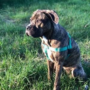 Meet your Posher, Jeremiah